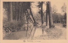 Postkaart/Carte Postale ALSEMBERG - La Tourneppe (B82) - Beersel