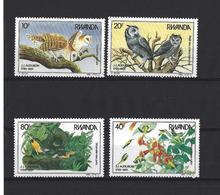 Rwanda: 1245/ 1248 **  Oiseaux - 1980-89: Nuovi