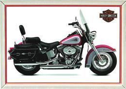 Motorbike Harley-Davidson - Moto