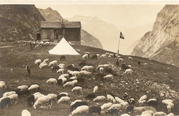 Schweiz,  12.9.1921, Postkarte, Wagenhausen Wikon, Fridolishütte Am Tödi, Siehe Scans! - Hausen Am Albis 