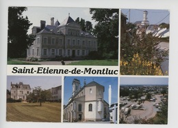 Saint Etienne De Montluc : Multivues - Saint Etienne De Montluc