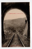 - CPA AMÉLIE-LES-BAINS (66) - La Sortie Du Tunnel - Editions Séguela-Combes N° 15 - - Otros & Sin Clasificación