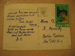 BERLIN Tierpark 1965 Albert SCHWEITZER Nobel Prize Stamp On Cancel Post Card DDR GERMANY Celebrity Celebrities - Albert Schweitzer