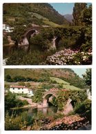 64 - BIDARRAY . " LE VIEUX PONT " & " LE PONT NOBLIA SUR LA NIVE " . 2 CPM - Ref. N°25922 - - Bidarray