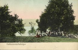 Iceland, HALLORMSSTAÐASKÓGUR, View With People (1910s) Postcard - Islande