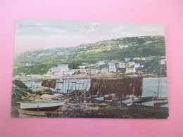 TARBERT From Pier Road_posted 1905 - Inverness-shire