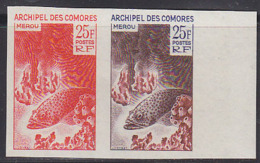 COMORO ISLANDS (1965) Merou Fish. Trial Color Proof Pair. Scott No 66, Yvert No 38. - Andere & Zonder Classificatie