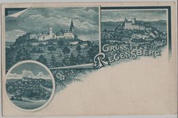 Gruss Aus Regensberg - UPU 1900 - Regensberg