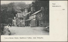 Tyn-y-Groes Hotel, Ganllwyd Valley, Dolgelly, Merionethshire, C.1905 - Quellyn Roberts Postcard - Merionethshire