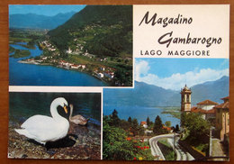 MAGADINO GAMBAROGNO Vedute Uccello Bird Svizzera CARTOLINA Non Viaggiata - Gambarogno