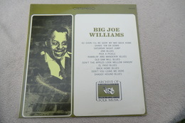 Big Joe Williams -  Everest Records Archive Of Folk & Jazz Music FS-218 - 1968 U S - Blues