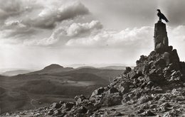 WASSERKUPPE-RHON FLIEGERDENKMAL-REA PHOTO - Rhoen