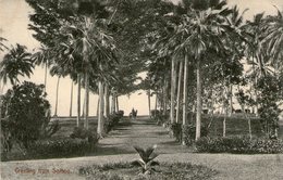 OCEANIE - SAMOA - Greeting From SAMOA - Très Bon état - 1910 - Très Bon état - Samoa