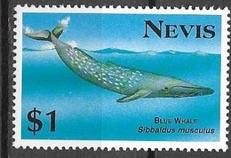 NEVIS, 1993, MNH, ENDANGERED SPECIES, WHALES, BLUE WHALE, 1v - Baleines