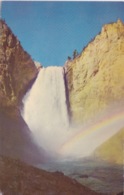 USA - THEME YELLOWSTONE PARK - LOWER FALLS OF YELLOWSTONE - Parques Nacionales USA