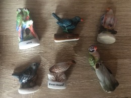 Fèves Lot Oiseaux, Perroquets - Dieren