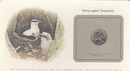 BIRD COINS OF THE WORLD - PIECE D OISEAUX  - TWENTY FIVE CENTS - WHITE TAILED TROPICBIRD - Phaéton à Bec Jaune - 1981 - Bermuda