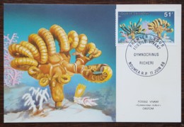 Nouvelle-Calédonie - CM 1988 - YT N°557 - Faune Marine / Fossile Vivant - Maximum Cards