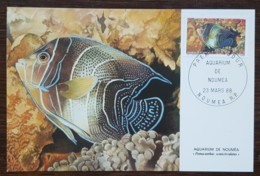 Nouvelle-Calédonie - CM 1988 - YT N°551 - Faune Marine / Aquarium De Nouméa - Tarjetas – Máxima