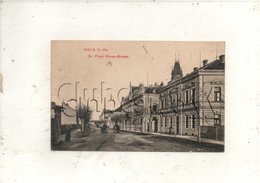 Wels (Autriche, Oberösterreich) : Dr Franz Grossstrasse Im 1910 (lebendig) PF. - Wels