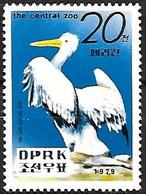 Korea North - MNH 1979 : Dalmatian Pelican  -  Pelecanus Crispus - Pelícanos