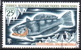 Terres Australes Et Antarctiques Françaises: Yvert N° 37° - Used Stamps