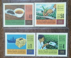 Tea, Agriculture, Cup Plate, Tea Tester, Utensil, Ceylon, Srilanka - Autres & Non Classés