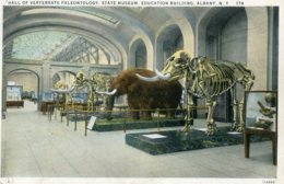HALL OF VERTEBRATE PALEONTOLOGY, STATE MUSEUM, EDUCATION BUILDING, ALBANY, N. Y. - Albany