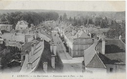 Luxeuil Les Bains - Rue Carnot Et Panorama Sur Le Parc - Non écrite - Luxeuil Les Bains