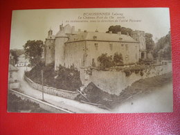 Ecaussines Lalaing - Le Chateau Fort Du 15e Siècle - Ecaussinnes