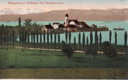 WASSERBURG A BODENSEE MIT ALPENPANORAMA-1906 - Wasserburg (Bodensee)