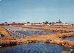 ¤¤    -    ILE De NOIRMOUTIER   -  Les Marais Salants    -  ¤¤ - Ile De Noirmoutier