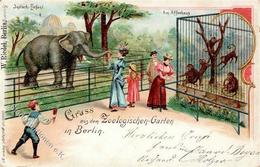 Berlin (1000) Zoologischer Garten Elefant Affen 1898 II (Stauchung) - Otros & Sin Clasificación