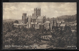CPA ANGLETERRE - Wells, Cathedral From Tor Hill - Wells