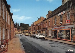 PUTANGES-PONT-ECREPIN - La Rue Aristide Briand - DS Citroën - Droguerie-Bazar - Putanges