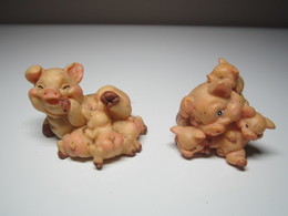 2 COCHONS Pour Collection. - Maiali