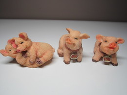 3 COCHONS Pour Collection. - Varkens