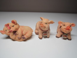 3 COCHONS Pour Collection. - Cochons