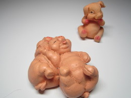 2 COCHONS Pour Collection. - Varkens