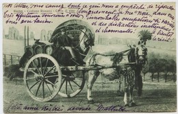 1517 - Italie - ROME - COSTUME ROMANO - CARRO DI VINO - MARCHAND DE VIN   - BEL ATTELAGE - Circulée En1916 - Transportmiddelen