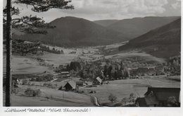 LUFTKURORT MITTELTAL-REAL PHOTO-1950 - Baiersbronn