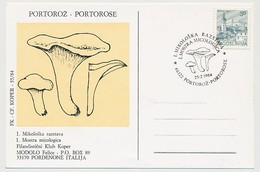 YOUGOSLAVIE - 2 CP Avec Oblitérations Champignons / Micologica - 1984 Et 1987 - Mushrooms