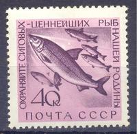 1960. USSR/Russia, Fisheries Protection, Mich.2385, 1v, Mint/** - Nuovi