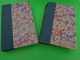 Lot De 2 Livres -la Petite Dorit - Tome 1 Et 2 Ch. Dickens -1858- - Andere & Zonder Classificatie