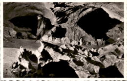 Hölloch-Grotte Muotathal - "Gletschergarten" (642) - Muotathal