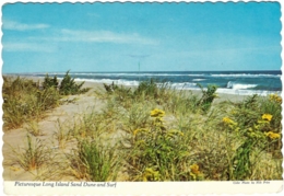 USA - NY - Picturesque Long Island Sand Dune And Surf - Vacation Playground (circ. 1981) - New York] - Long Island