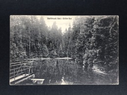 Ansichtskarte Bad Grund - Harz - Stiller See - Verlag Stengel 1925 N. USA - Bad Grund