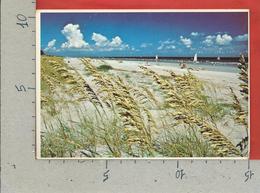 CARTOLINA NV STATI UNITI - HILTON HEAD ISLAND - Sea Oats Frame The Uncrowded Beach - 10 X 15 - Hilton Head