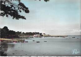 56 - Presqu'Ile De RHUYS : L'entrée Du Port  CPSM Dentelée Colorisée Grand Format - Morbihan ( Bretagne ) - Sonstige & Ohne Zuordnung