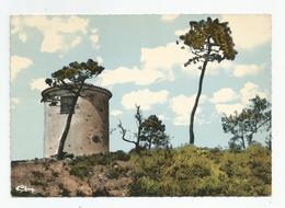 83 Var La Garde Freinet Vieux Moulin Sur La Montagne - La Garde Freinet